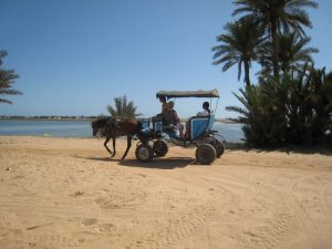 viaggio in  tunisia
